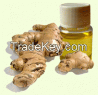Bulk Ginger oil price