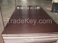 Excellent quality Film Faced Plywood