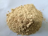 Shiitake Mushroom Cap Powder