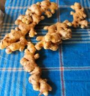 Indonesian Fresh Ginger