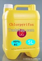 Chlorpyrifos