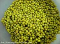 Mung Beans Seed