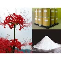 Sell High Quality Lycoris Ratiata Extract, Galanthamine Hydrobromide