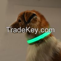 pet accessories supplies led light up dog collar