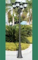 Solar Street Light