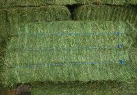 ALFALFA  COMPRESSED  BALES