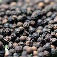 Quality Dried Black Pepper 570G/L