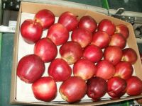 Fresh Fuji Apple fruits for sale