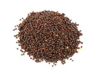 High quality White / Black / Yellow mustard seed