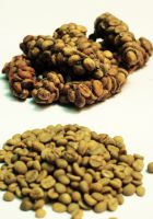 Luwak Coffee beans