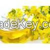 Rapeseed Oil