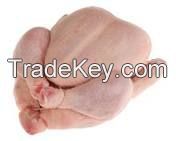 Halal Frozen Whole Chicken