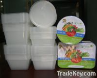 Sell takeaway containers for new south wales - Quiphuc Co - Vietnam