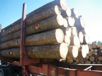 wood logs