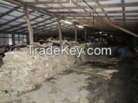 Wet and Dry Salted Cow Hides