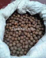 Raw Macadamia Nuts