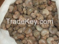 Raw Cashew Nuts