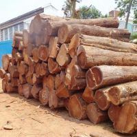 African Hardwood Logs