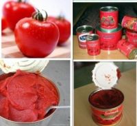 140g Canned Tomato Paste
