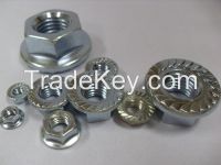 DIN6923 Steel Hex Nuts with Flange
