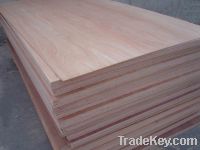 Sell 18mm keruing plywood