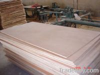 Sell2mm-18mm hardwood plywood