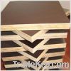 Sell 18, 21mm film faced plywood