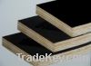 Sell wbp film faced plywood