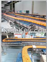 Sell Conveyor system