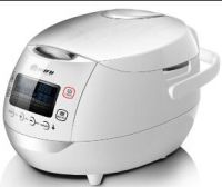 Voice assist LCD multi cooker
