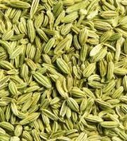 Egyptian fennel seeds