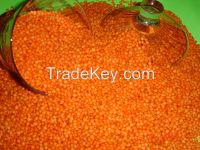 turkish red lentil