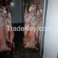 Organic Mutton Halal