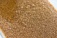 Sesame Seeds