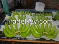 Fresh Cavendish Banana