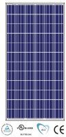 poly solar module SGEP672285-300