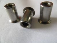 China Stainless steel countersunk head rivet nuts