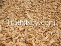 Wood chips 1# CLASS