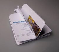 OEM high quality brochure printing service with competitive price