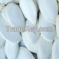 sell 2014 new snow white pumpkin seeds