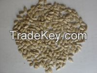 sell 2014 new sunflower kernels
