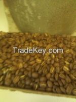 Sell coffee beans green