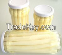 Wholesale Organic Canned  Asparagus in Brine for Cooking