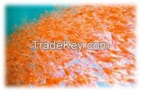 Krill Oil