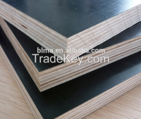 1220mmx2440mm , E 1 marine Glue, marine Grade , Water Proof Plywood/Shuttering plywood for construction