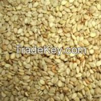 Sesame Seeds For Sale