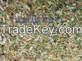 CORN SILAGE FOR ANIMAL FEED