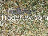 Corn Silage Animal Feed