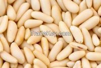 pine nuts