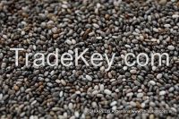 Natural Chia Seeds from Argentina